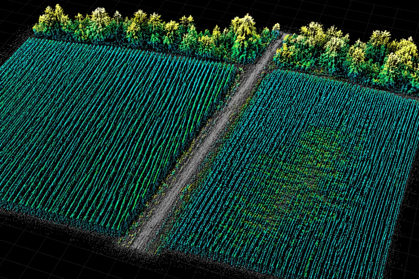 LiDAR point-cloud view of the same fields